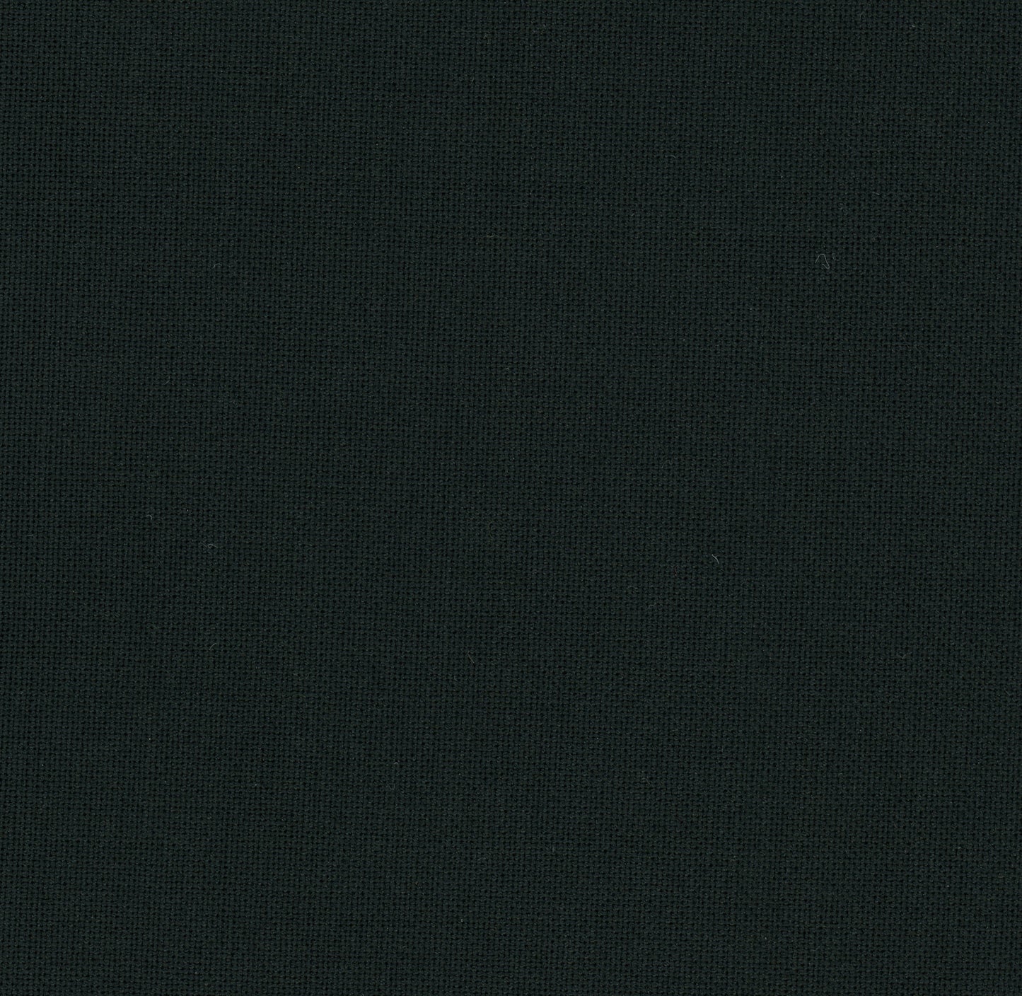 CPW0010 - Negro (Ref. Pantone 19-4004)