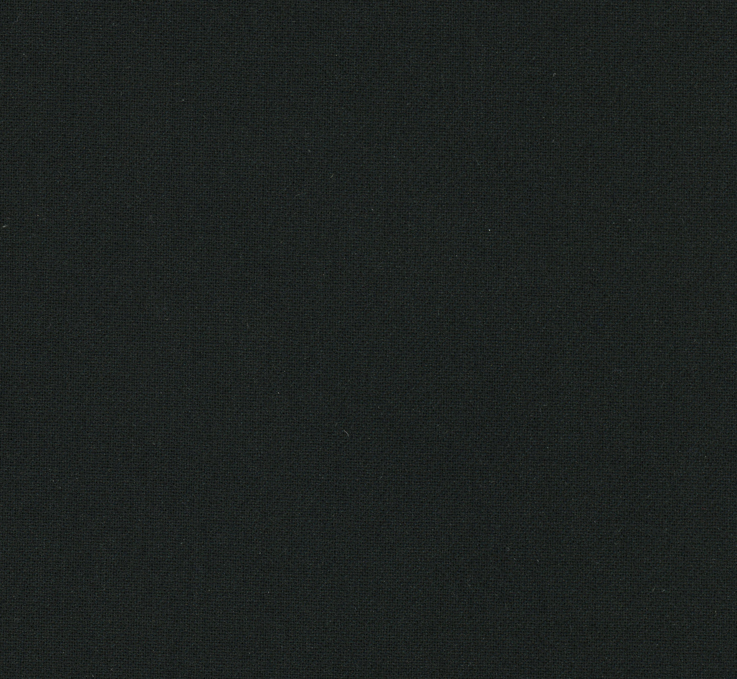 CWPS0002 - Negro (Ref. Pantone 19-4004)