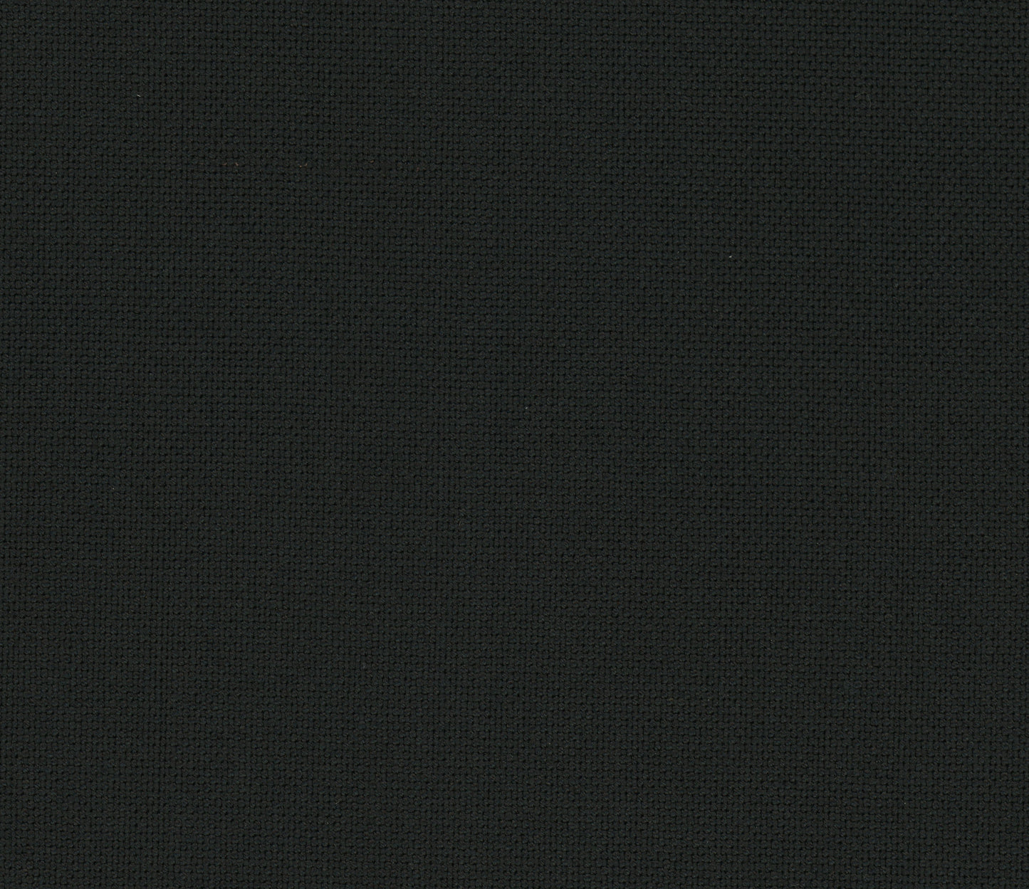 CPW0030 - Negro (Ref.19-4203)